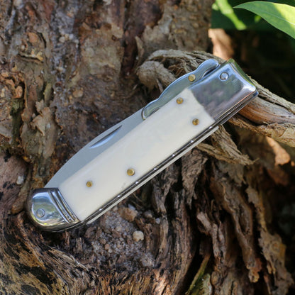 Beef Bone Handle Folding Portable Outdoor Tool